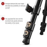 Rangers 57″ Aluminium Stativ Test 2019