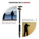 Rangers 57″ Aluminium Stativ Test 2019