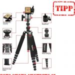 togopod Patrick CARBONplus Test 2019