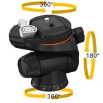 Vanguard Alta CA 234AP Test 2019