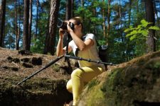 Cullmann Concept One 622T Test 2019